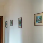 Te Vojo Ben -furnished Flat-